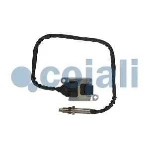 2269096 COJALI