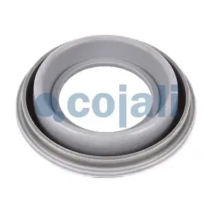6071002 COJALI