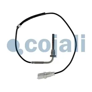2262022 COJALI
