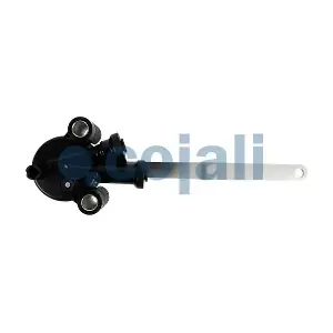 2314409 COJALI