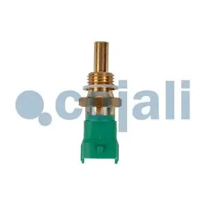 COJALI 2260984