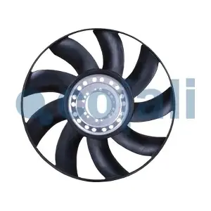 8111605 COJALI
