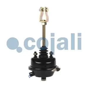 2251101 COJALI