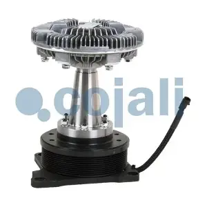7053804 COJALI