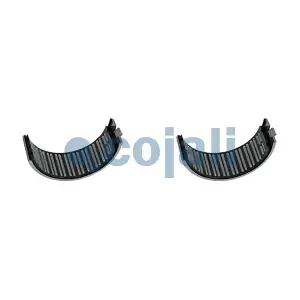 6084530 COJALI