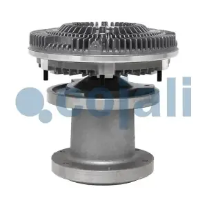 7033801 COJALI