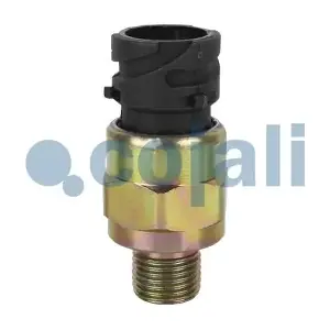 2260449 COJALI