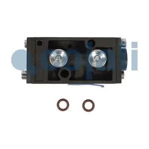 2816011 COJALI