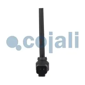 2260319 COJALI