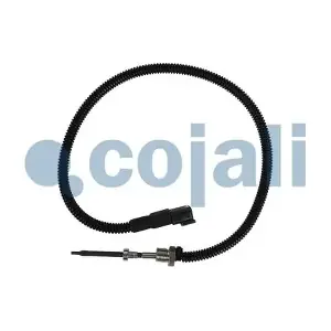 2262005 COJALI