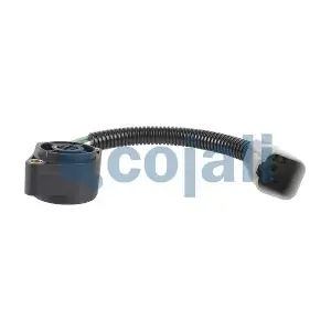 2260490 COJALI