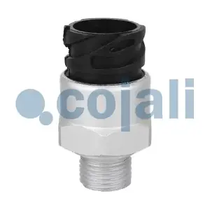 2260093 COJALI
