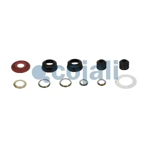 6089001 COJALI
