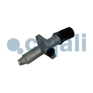 2556029 COJALI