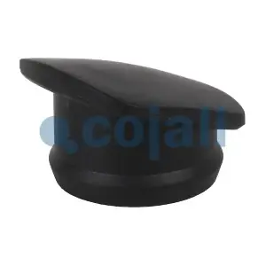 2880234 COJALI