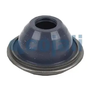 6074002 COJALI