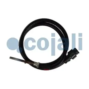 2260896 COJALI