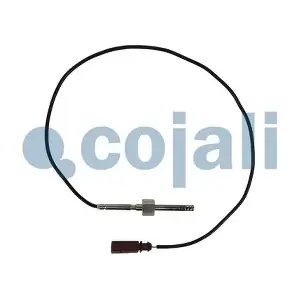 2262021 COJALI