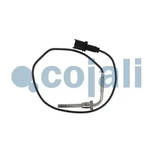 2260900 COJALI