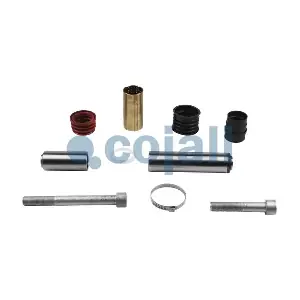 6084021 COJALI