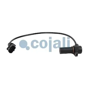 2260493 COJALI