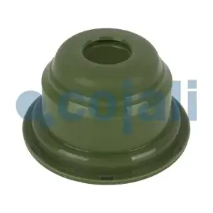 6072002 COJALI