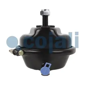 2351307 COJALI