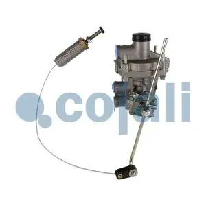 2220503 COJALI