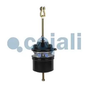 1519177 DAF