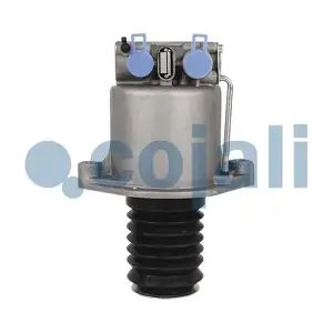 2350109 COJALI