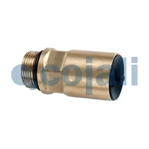 2280115 COJALI