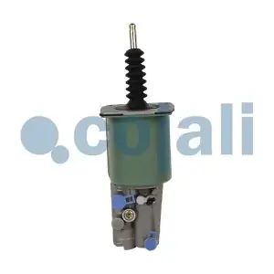 2350101 COJALI