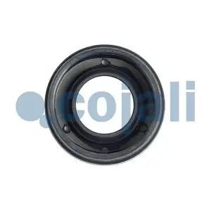 6002263 COJALI