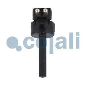 2260407 COJALI