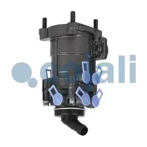 354031 COJALI