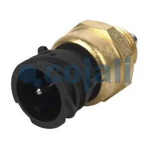 2260343 COJALI