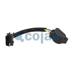 2260369 COJALI
