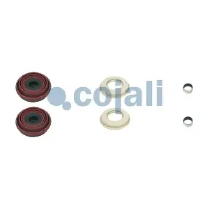 COJALI 6084002