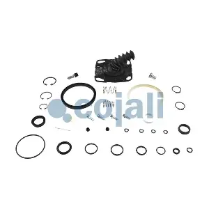 6034001 COJALI