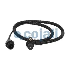 2260178 COJALI