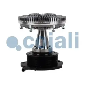 7053144 COJALI