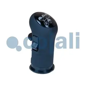 2880137 COJALI