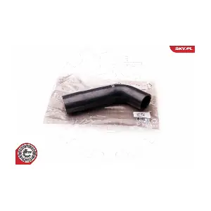 24SKV139 ESEN SKV