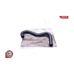 24SKV311 ESEN SKV