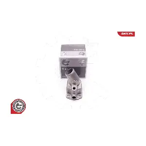 20SKV079 ESEN SKV