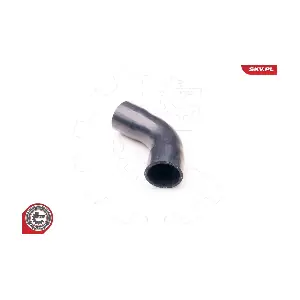 24SKV134 ESEN SKV