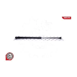 ESEN SKV 52SKV571