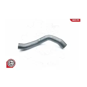 24SKV065 ESEN SKV