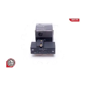 96SKV207 ESEN SKV
