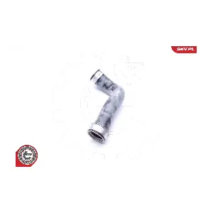 24SKV619 ESEN SKV